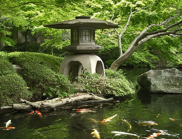 Use-of-colored-carp-and-gold-fish-in-the-koi-ponds-along-with-stone-lantern