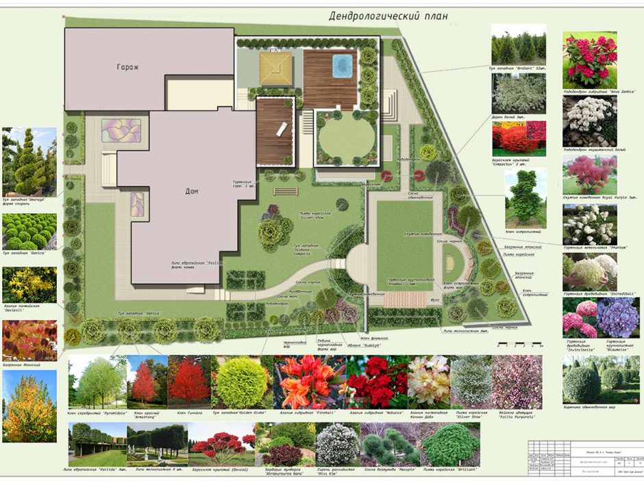 Проект по технологии дизайн приусадебного участка