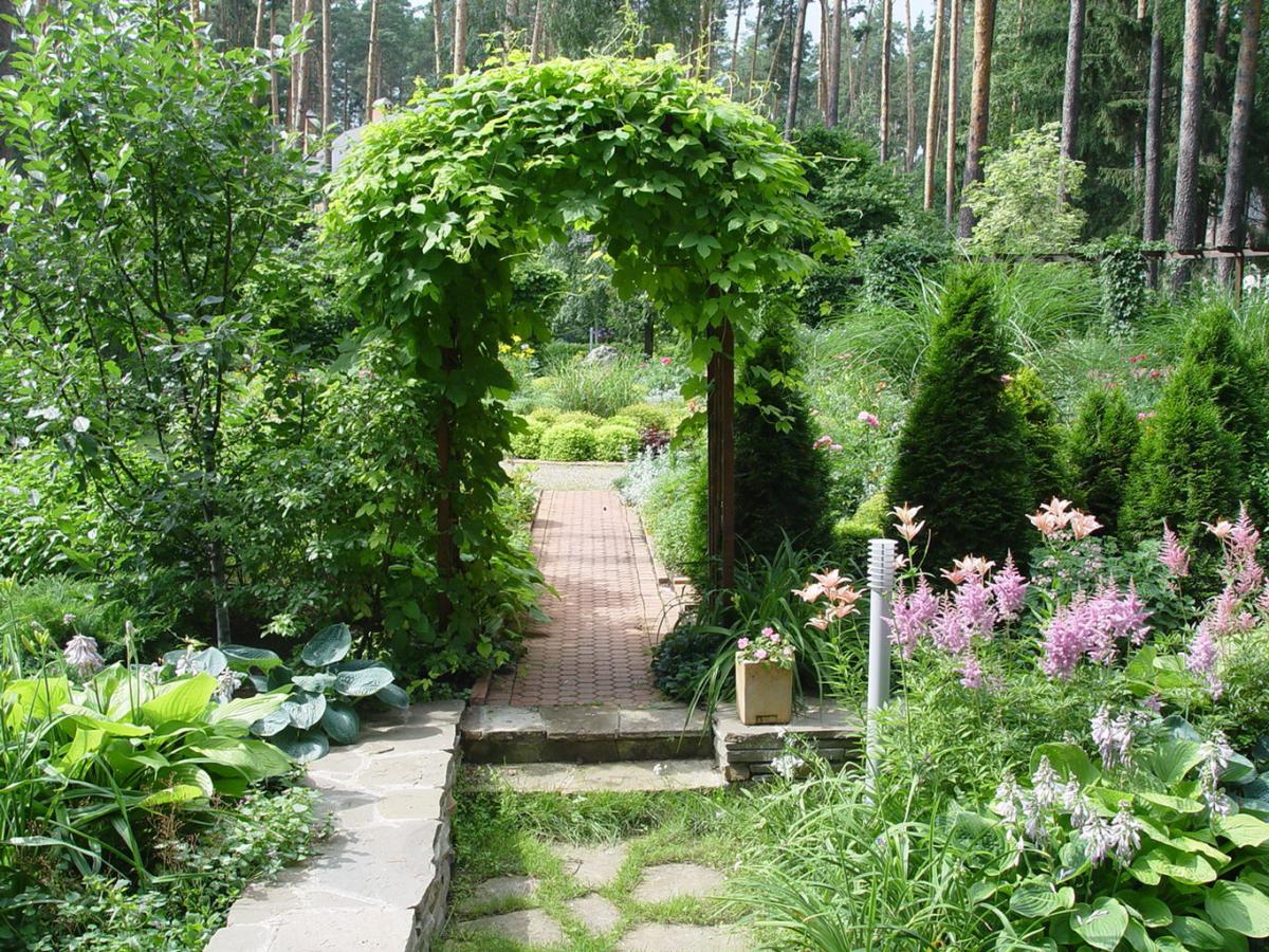 Мария Проскурнина ландшафтный дизайнер