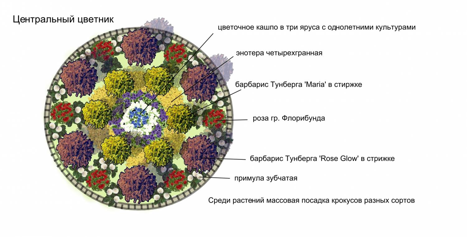 Клумба из низкорослых цветов пример схема