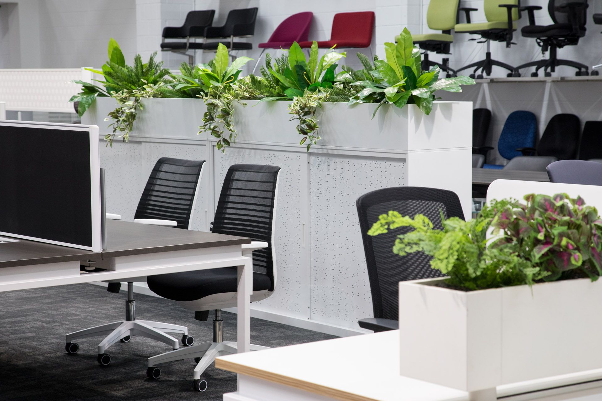 Растения в интерьере офиса