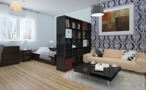 Разделение комнаты с помощью перегородок, ширм, мебели и цвета