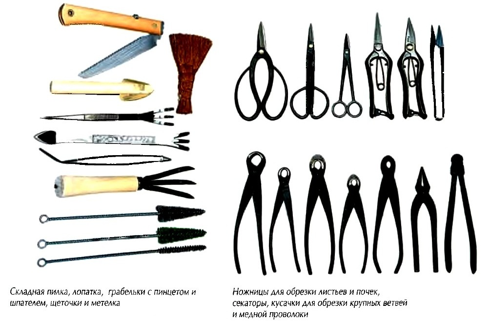 Набор Инструментов Для Бонсай Купить