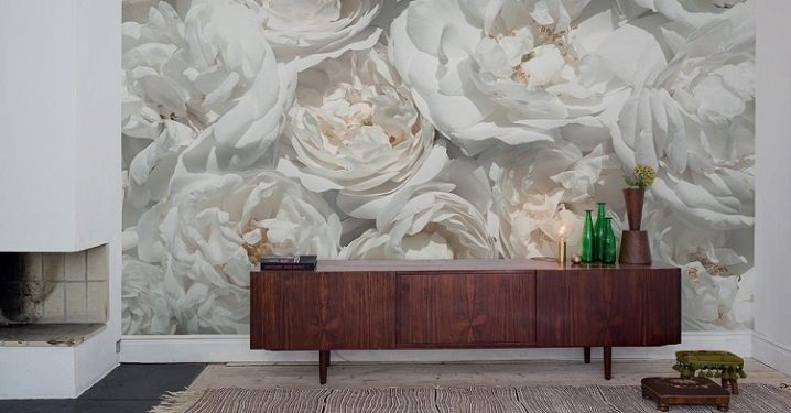 Nature big white rose flowers photo wall mural 